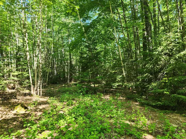 409 Mill Hill Road, Waterford, ME 04088