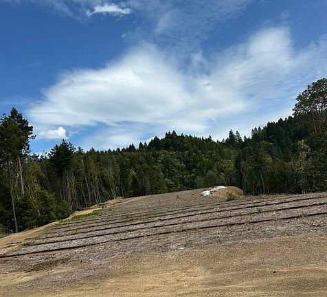 2nd image of O Redwood Hwy