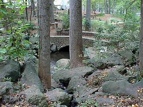 Rock Garden