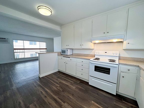 4th image of 4033-4047.5 Albatross St #4045