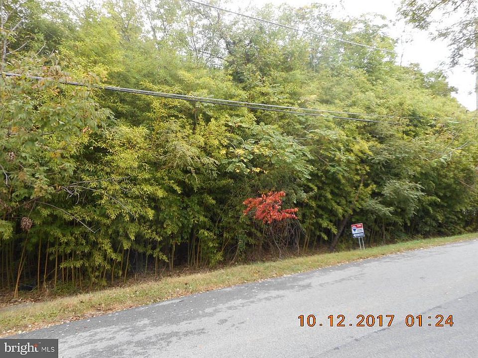 2nd image of 513 Rosier Rd