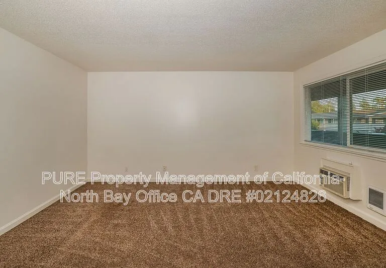 555 Dexter St #B — Photo 4