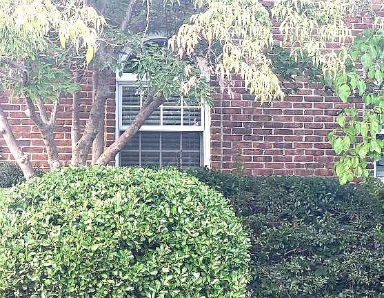 4th image of 213 Heather Ct