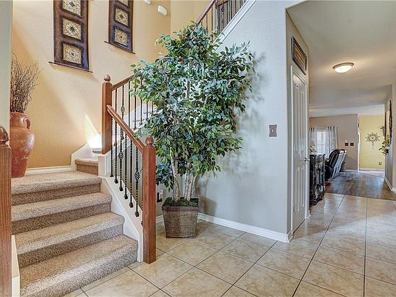 5th image of 105 Palo Duro Ln