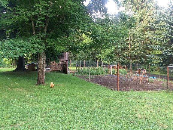 garden and chicken coop