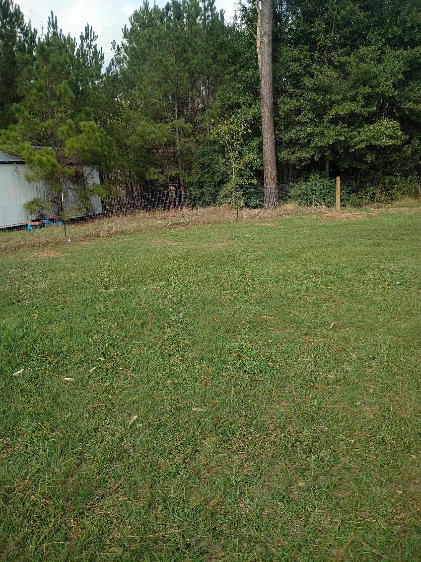 104 Alum Creek Dr — Photo 4