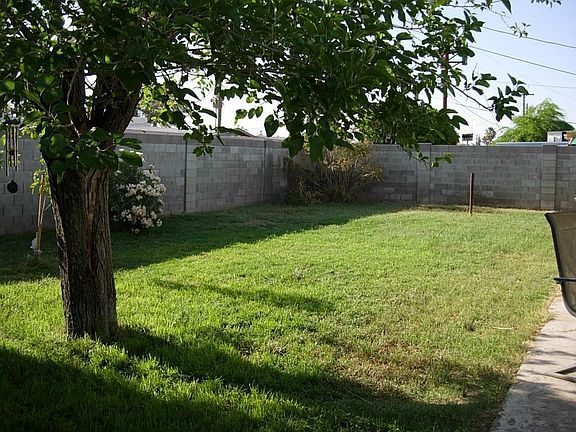 tranquil, private backyard
