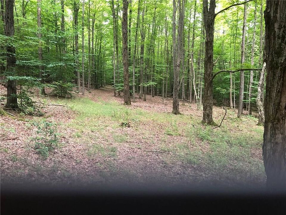 2nd image of 10438 Mattice Rd