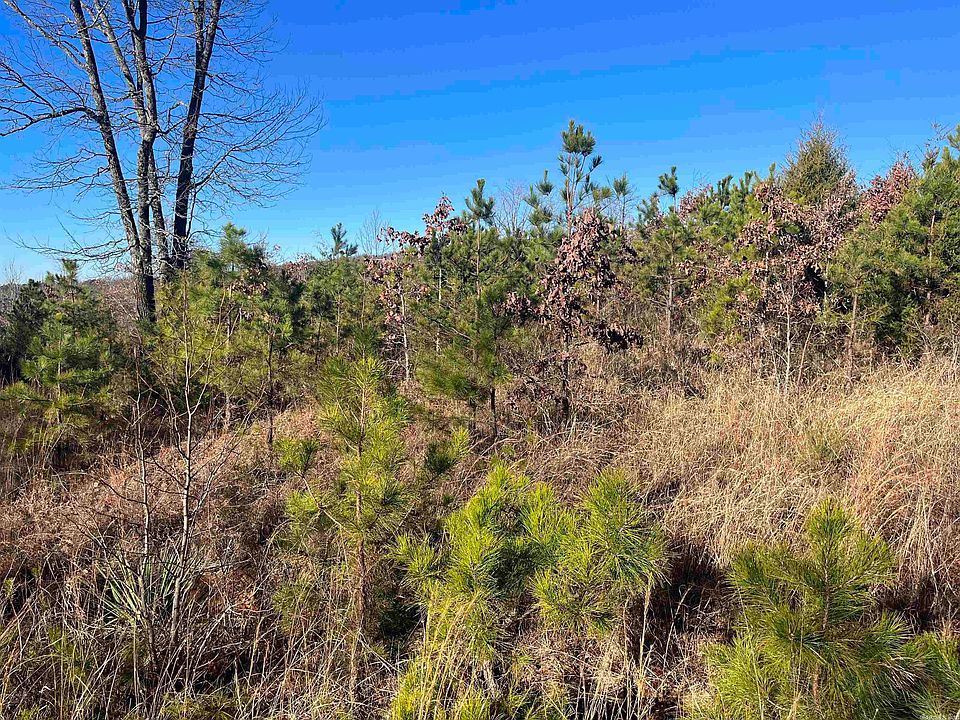 2nd image of 0 Hill Creek Rd