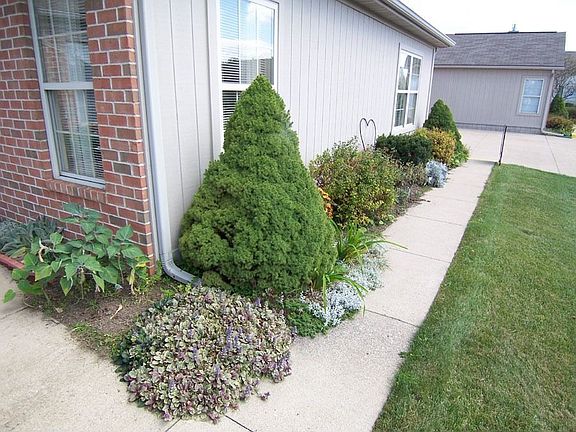 5th image of 16 Woodberry Dr