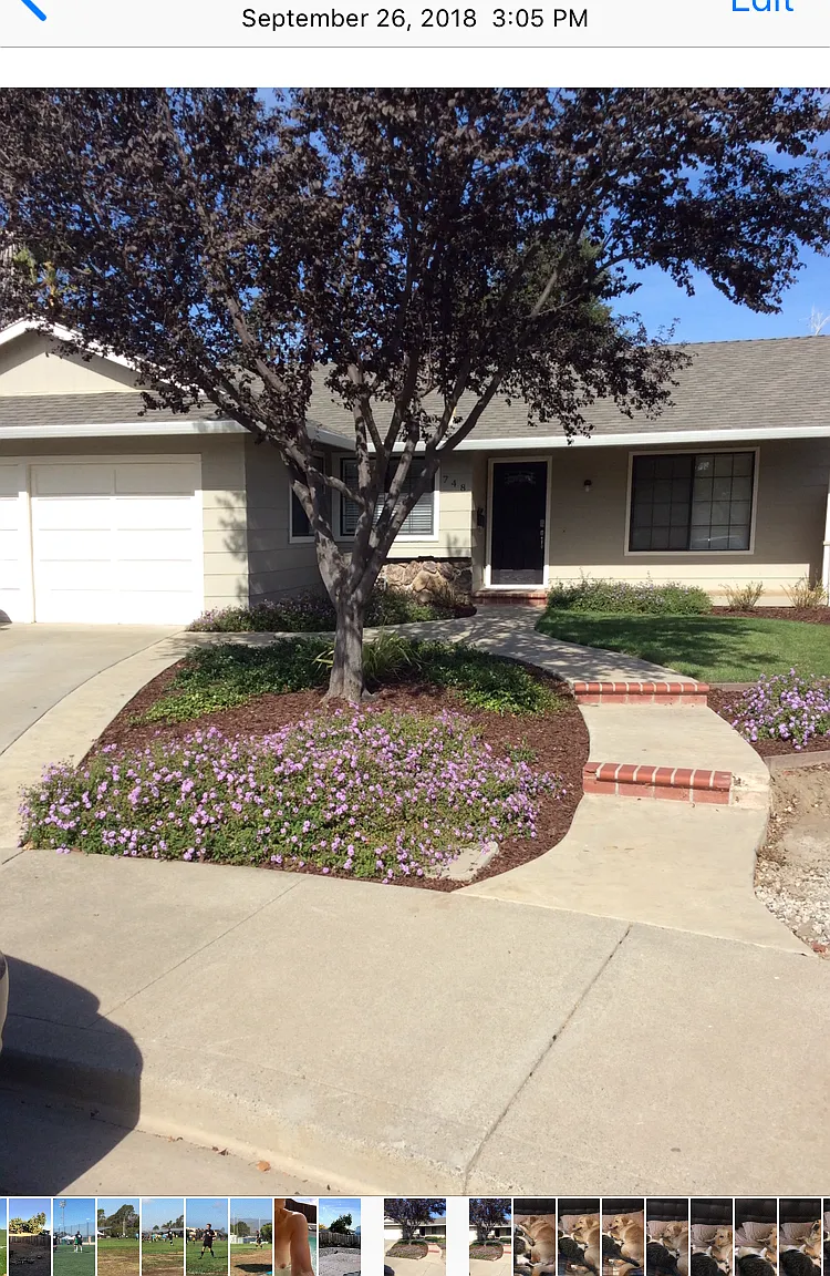 748 Swan Pl — Photo 1