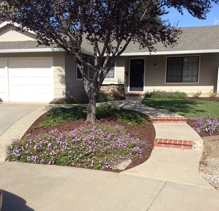 748 Swan Pl