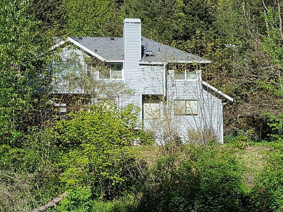back spring