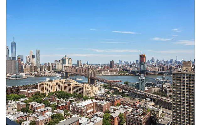 Sold by Douglas Elliman | media 2