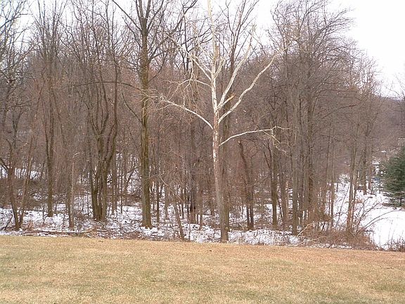 View from Shank Park