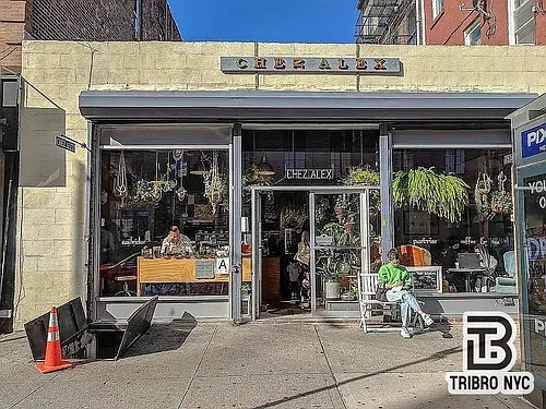 225 Halsey St #1 Photo 1