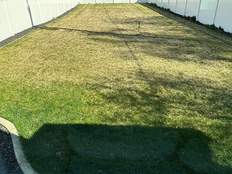 Very Large Fenced Back Yard