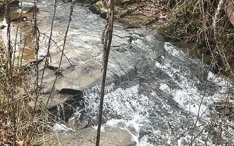 3rd image of 1360 Brasstown Creek Meadow Dr
