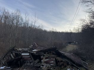 911 Shingles Branch Rd, East Lynn, WV 25512