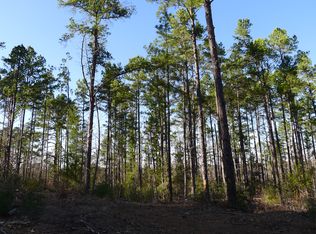 00 Neches Trace, Palestine, TX