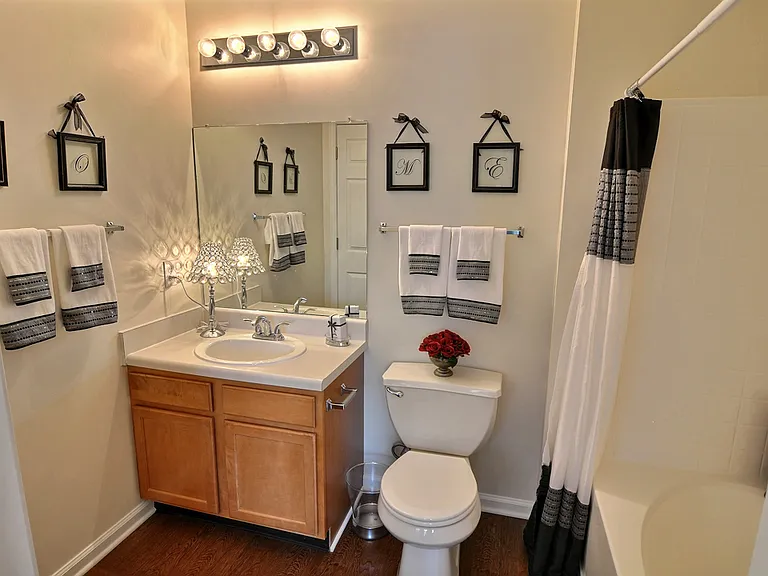 Model Apartment Bathroom