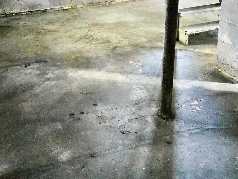 Very Clean basement with Humidifier