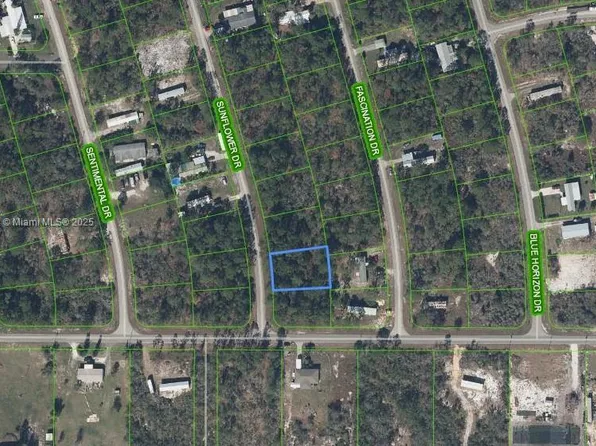 103 Sunflower Dr, Lake Placid, FL 33852