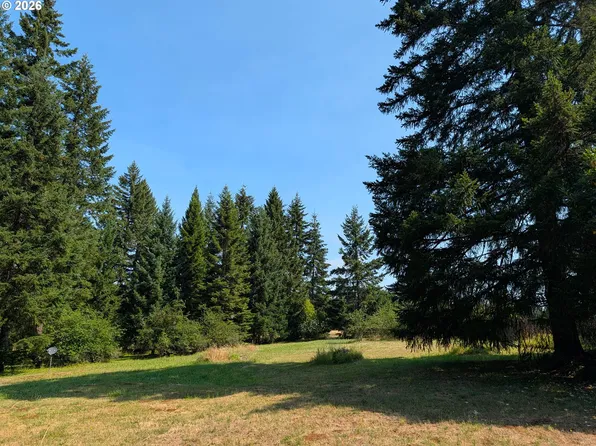 49241 Mountain View Rd, Oakridge, OR 97463