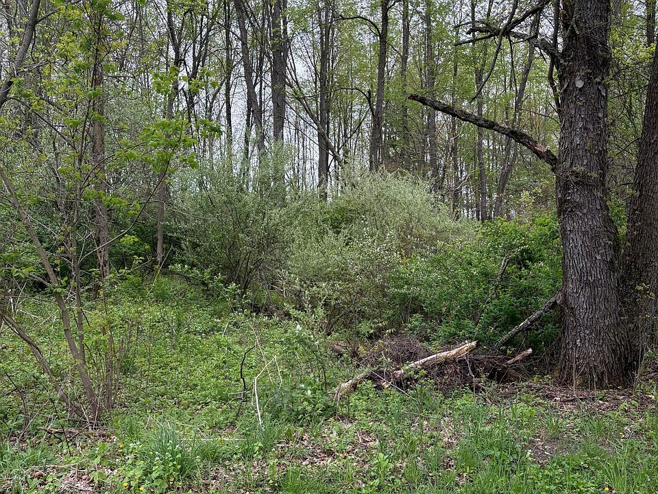 1st image of V L W Quimby Rd