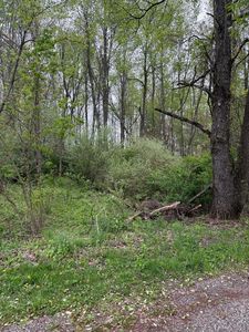 V L W Quimby Rd, Hastings, MI, 49058