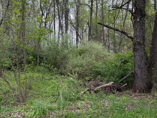 V L W Quimby Rd, Hastings, MI 49058