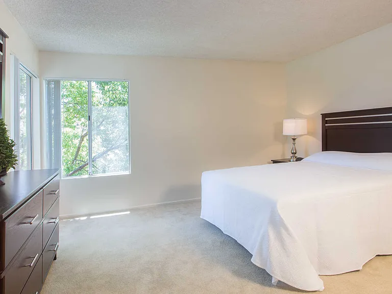 Carpeted Bedroom