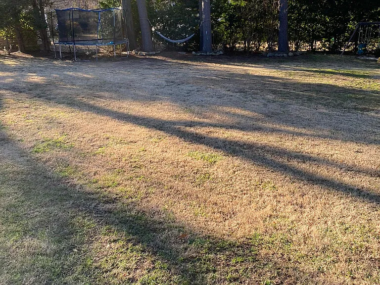 Large backyard