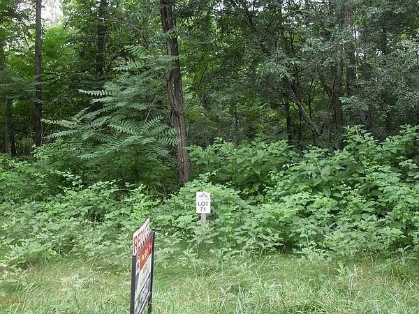 2nd image of 1950 Pokagon Pass