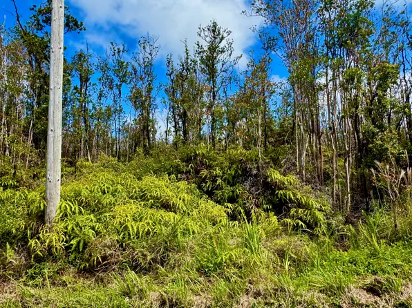 11-2466 Makoa Rd Lot 59, Volcano, HI 96785