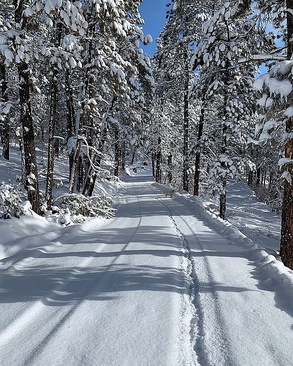 The road to peace and quiet.