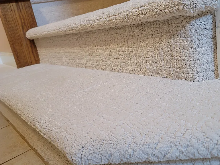Fresh Premium Carpets