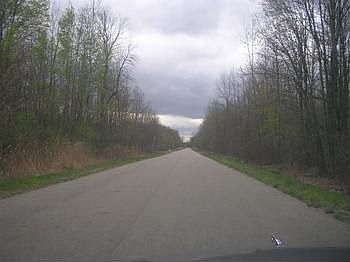 The tree lined road is an inspiring path to take leading you to your destination....4407 Chambers Road, Mayville