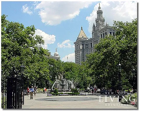 Rented by NY Living Solutions | media 25