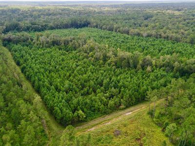 Rawls Rd, Cairo, GA, 39828