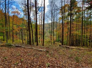 99999 Bobby Gosnell Rd, Marshall, NC 28753