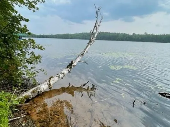 W3943 Devils Lake Rd, Sarona, WI 54870