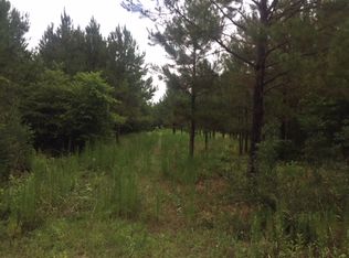 24128 Fm 2262, Apple Springs, TX 75926
