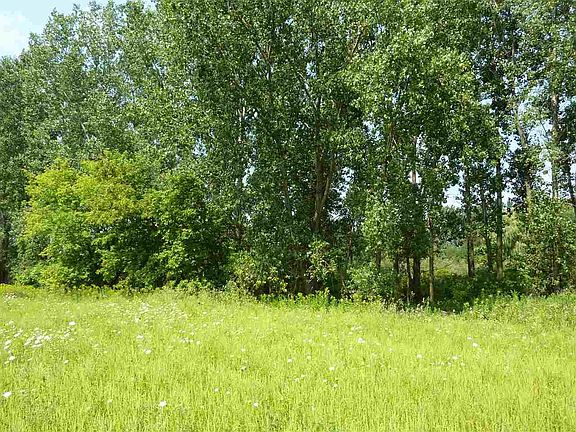 North end of property - Facing North