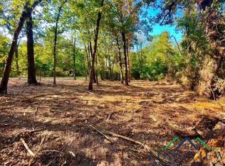 County Road 2600, Pittsburg, TX 75686