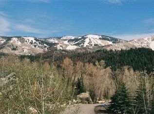 685 Meadowbrook Cir, Steamboat Springs, CO 80487