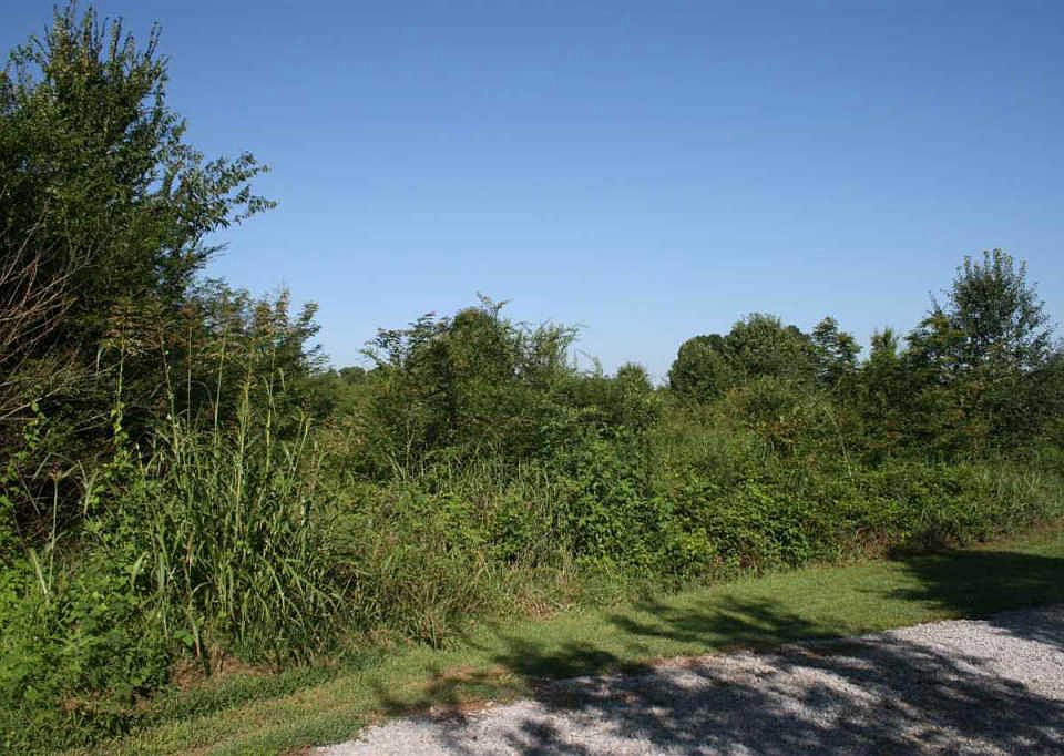 1st image of 145 Cedar Creek Xing NE