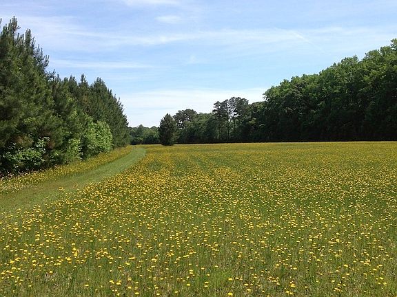 5th image of Lot 22 Country Lane