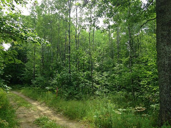 5th image of Mud Lake Rd