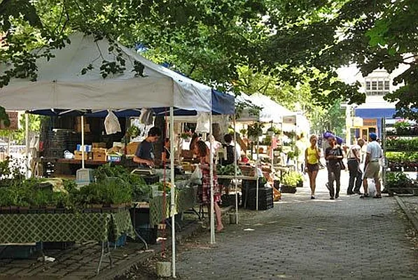 Rented by BLS Realty | media 26